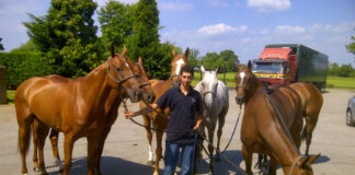 SE NECESITAN CUIDADORES DE CABALLOS (CON O SIN EXPERIENCIA, SE ENTRENARÁ), TURNO DE 8 HORAS. 3 VACANTES cuidador de caballos Caregiver ofHorse caretaker