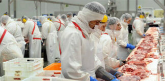 SE SOLICITAN OPERARIOS PARA LÍNEA DE PRODUCCIÓN (HOMBRES Y MUJERES) INDUSTRIA CÁRNICA, JORNADA COMPLETA. BUEN SUELDO operarios de envasados packaging operators