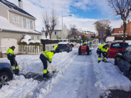 trabajador para remoncion de nieve Snow Removal Worker