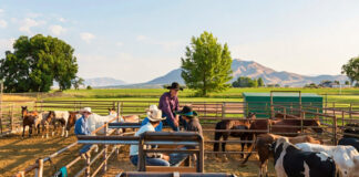 SE BUSCAN TRABAJADORES PARA RANCHO (CON O SIN EXPERIENCIA), SE OFRECE EXCELENTE PAGO POR HORA Y BENEFICIOS. VARIOS PUESTOS trabajadores para rancho male staff rancho granja corral de engorde 1