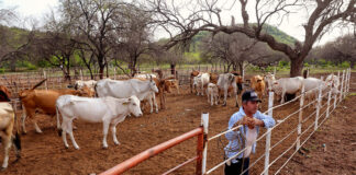 SE NECESITAN AYUDANTES DE RANCHO (LABOR GENERAL), MÍNIMA EXPERIENCIA. SE OFRECE ALOJAMIENTO, BUEN PAGO POR HORA Y BENEFICIOS Ayudantes de rancho ranch helpers trabajadores para rancho de ganado cattle ranch workers