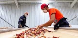 SE SOLICITAN EMPACADORES/AS DE CHILE SECO Y ESPECIES (CON O SIN EXPERIENCIA), 1ER TURNO 5 DÍAS A LA SEMANA Empacadores de chile seco y especies dry chili packers personal femenino y maculino female and male staff