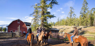 SE SOLICITAN TRABAJADORES PARA RANCHO (POCA EXPERIENCIA), EXCELENTE PAGO POR HORA Y BENEFICIOS. 2 VACANTES Trabajadores Para Rancho de vacas y terneros Cow and Calf Ranch Worker