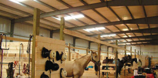 SE SOLICITAN TRABAJADORES/AS AGRÍCOLAS PARA GRANJA DE CABALLOS (NO SE REQUIERE EXPERIENCIA), INGRESO INMEDIATO. 5 VACANTES Trabajadores agricolas Ayudantes de granero Trabajador Ayudante Para Cuidado de Caballos Assistant Horse Care Worker male staff