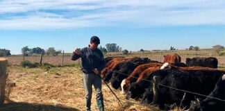 SE SOLICITA OPERARIO/A PARA GRANJA (MÍNIMA EXPERIENCIA), LABORES GENERALES. JORNADA PARTIDA, BUEN SUELDO operario para granja trabajadores para rancho male staff rancho granja