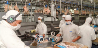 SE SOLICITA OPERARIO/A DE FÁBRICA AVÍCOLA (MÍNIMA EXPERIENCIA), JORNADA COMPLETA. INGRESO INMEDIATO Operario para fabrica avicola Poultry factory operator