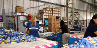 Operarios de envasado Ayudantes de elaborados y envasados personal para fabrica empacadores sorteadores etiquetadores packers female and male staff