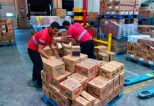 mozo de almacén para carga y descarga de camiones Warehouse worker for loading and unloading trucks