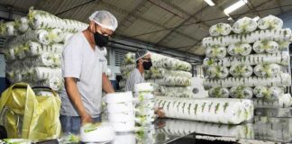 SE SOLICITAN OPERADORES DE PRODUCCIÓN (HOMBRES Y MUJERES), CON O SIN EXPERIENCIA. TURNOS ROTATIVOS, BUEN PAGO operadores de produccion production staff hombres y mujeres