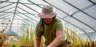 SE NECESITAN 10 TRABAJADORES AGRÍCOLAS Y OBREROS PARA INVERNADERO (NO SE REQUIERE EXPERIENCIA), SE OFRECE CAPACITACIÓN Y BUEN PAGO POR HORA trabajadores agricolas y obreros para invernadero farm workers and greenhouse workers