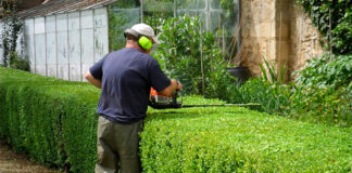Jardinero y Personal de Limpieza Gardener Cleaning staff