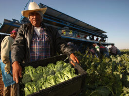 Trabajadores agrícolas farm workers peones agrícolas trabaj