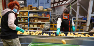 INCORPORAMOS 50 EMPACADORES/AS DE VERDURAS (CON O SIN EXPERIENCIA, SE ENTRENARÁ). JORNADA FULL TIME empacadores de verduras packers hombres y mujeres