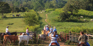 SE NECESITAN TRABAJADORES DE GRANJAS Y RANCHOS (POCA EXPERIENCIA), 40 HORAS SEMANALES. INCORPORACIÓN INMEDIATA trabajadores de granjas y ranchos male staff rancho granja corral de engorde 1