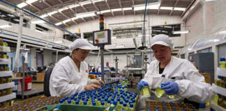 SE SOLICITA ENVASADOR/MAQUINISTA PARA INDUSTRIA DE ALIMENTOS (EXPERIENCIA MÍNIMA), BUENAS CONDICIONES LABORALES Envasador/Maquinista Para Industria De Alimentos product-packaging