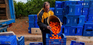 Trabajadores Generales Para Granja De Frutas y Verduras farm workers