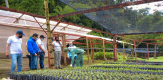 SE SOLICITAN 50 TRABAJADORES PARA VIVERO (HOMBRES Y MUJERES), NO SE REQUIERE EXPERIENCIA. SE CAPACITARÁ Trabajadores Para Vivero Nursery Workers agricola