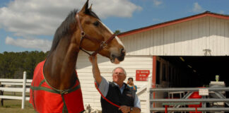 SE SOLICITAN TRABAJADORES PARA RANCHO DE CABALLOS (POCA EXPERIENCIA), INCORPORACIONES INMEDIATAS. BUEN PAGO Trabajadores para Rancho de Caballos Pawn for Horse Ranch male staff trabajadores