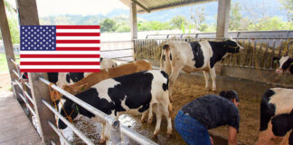 SE NECESITAN 2 TRABAJADORES PARA RANCHO (MANO DE OBRA EN GENERAL), POCA EXPERIENCIA. 40 HORAS SEMANALES, BUEN PAGO Trabajadores para rancho mano de obra male staff Workers For Dairy Farm 2