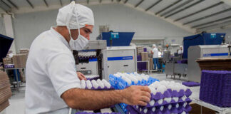 SE SOLICITAN EMPACADORES/AS DE HUEVOS FULL TIME, NO SE REQUIERE EXPERIENCIA Empacadores/as De Huevos egg packers