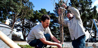 SE BUSCA OPERARIO/A DE JARDINERÍA PARA EMPRESA DEL SECTOR AGRÍCOLA, TURNO DE MAÑANA. BUEN PAGO Operario/a De Jardinería Para Empresa Del Sector Agrícola gardener operators