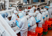 SE BUSCA OPERARIO/A DE PRODUCCIÓN PARA FRIGORÍFICO VÍA GRUPO GESTIÓN EN VIRREY DEL PINO, LA MATANZA (SECUNDARIO Y EXPERIENCIA EN FRIGORÍFICO), LUNES A VIERNES DE 7 A 16 H Operarios/as De Producción Para Frigorífico production operators