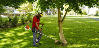 Trabajador Para Jardinería gardener worker
