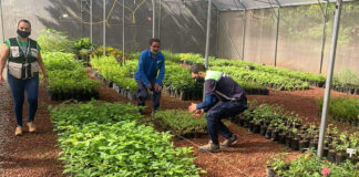 SE NECESITAN TRABAJADORES/AS PARA VIVERO (NO SE REQUIERE EXPERIENCIA), BUEN PAGO POR HORA. VARIOS PUESTOS Trabajadores/as Para Vivero Nursery Workers trabajadores