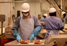 Personal Para Bodega De Carne mead warehouse staff