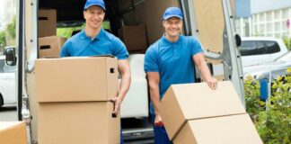 Personal Para Carga y Descarga De Camiones loading and unloading staff