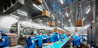 Trabajador De Producción production worker personal