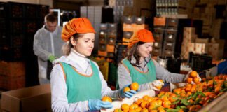 SE BUSCA AUXILIAR DE PRODUCCIÓN CON O SIN EXPERIENCIA PARA FÁBRICA (HOMBRE O MUJER), LABORES GENERALES Auxiliar De Producción production employee