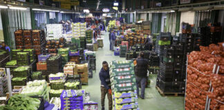 SE PRECISAN ENVASADORES/AS PARA ALMACÉN DE FRUTAS Y VERDURAS (POCA EXPERIENCIA), JORNADA PARTIDA Envasadores/as Packers