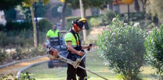 SE SOLICITA JARDINERO/A (MÍNIMA EXPERIENCIA), 20 HORAS SEMANALES DE LUNES A VIERNES. TURNO DE MAÑANA Jardinero/a Gardeners