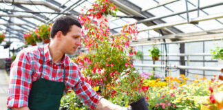 SE BUSCAN OPERARIOS AGRÍCOLAS PARA VIVERO (CON O SIN EXPERIENCIA), PERSONAS CON GANAS DE APRENDER Operarios Agrícolas agricultural operators