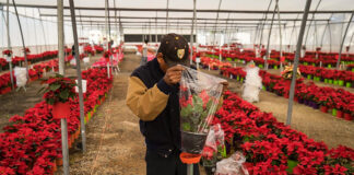 Personal Para Vivero nursery worker
