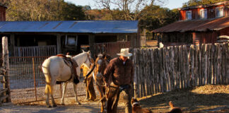 SE SOLICITAN TRABAJADORES PARA FINCA (CAPATAZ), 2 VACANTES. TURNO DE MAÑANA. BUEN PAGO Trabajadores Para Finca farm workers