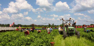 SOLICITAMOS 4 TRABAJADORES/AS PARA GRANJA (SIN EXPERIENCIA, SE ENTRENARÁ), SE OFRECE ALOJAMIENTO Y BUEN PAGO Trabajadores/as Para Granja farm workers