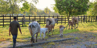 SE NECESITA AYUDANTE CON O SIN EXPERIENCIA (MANO DE GRANJA Y RANCHO), HORARIO FLEXIBLE DE LUNES A VIERNES Ayudante (Mano De Granja y Rancho) Helper (Farm Ranch and Hand)