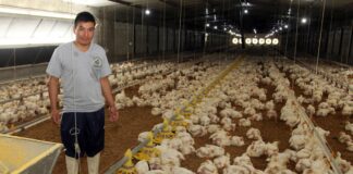 SE REQUIERE AYUDANTE PARA GRANJA DE AVES (HOMBRE O MUJER), EXPERIENCIA DESEABLE. SE OFRECE BUEN PAGO Y ALOJAMIENTO Ayudante Para Granja De Aves Poultry Farm Helper