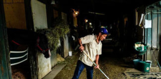 SE SOLICITA EMPLEADO PARA RANCHO (CON O SIN EXPERIENCIA), TURNO DE MAÑANA DE LUNES A VIERNES Empleado Para Rancho ranch employee