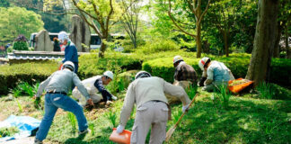 SOLICITAMOS JARDINERO (PAISAJISTA), NO REQUIERE EXPERIENCIA. CONTRATO PERMANENTE, BUEN PAGO POR HORA Jardinero gardener trabajador