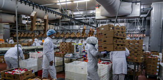 SE SOLICITAN 15 OPERARIOS/AS DE PRODUCCIÓN (CON O SIN EXPERIENCIA), PARA EMPRESA DE ALIMENTOS Operarios/as De Producción production operators