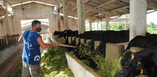 SE SOLICITA PEÓN GANADERO PARA RANCHO (POCA EXPERIENCIA), LABORES VARIAS. SALARIO A CONVENIR Peón Ganadero Para Rancho Farm Worker