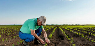 SE NECESITAN 15 TRABAJADORES/AS DE CAMPO Y 2 DE SERVICIO DOMÉSTICO PARA GRANJA. POCA EXPERIENCIA, BUEN PAGO Trabajadores/as De Campo y 2 De Servicio Doméstico field workers and 2 domestic sevice