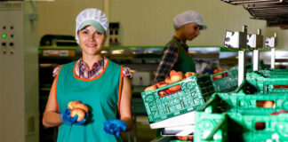Trabajadores/as Para Clasificar y Envasar Frutas y Verduras Workers to Classify and Pack Fruits and Vegetables