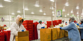SE NECESITAN TRABAJADORES/AS PARA EMPAQUE DE TOSTADAS (CON O SIN EXPERIENCIA), 1ER TURNO. BUEN PAGO Trabajadores/as Para Empaque packing workers