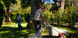SE SOLICITA AYUDANTE DE JARDINERÍA (CON O SIN EXPERIENCIA), SE OFRECE BUENA REMUNERACIÓN Ayudante De Jardinería Gardener helper