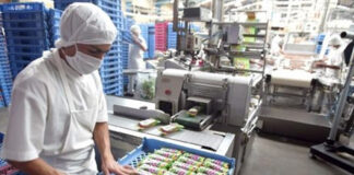 SE SOLICITA AYUDANTE DE PLANTA PARA INDUSTRIA DE ALIMENTOS (HOMBRE O MUJER), MÍNIMA EXPERIENCIA Ayudante De Planta Plant Helper