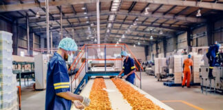 SE SOLICITA AYUDANTE DE PRODUCCIÓN (HOMBRE O MUJER), TURNO DIURNO Y MIXTO. MÍNIMA EXPERIENCIA Ayudante De Producción Production Helper